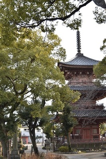 甚目寺2.jpg