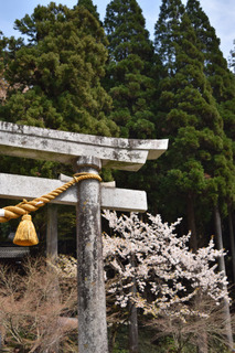 根道神社